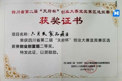 天府杯二等獎(jiǎng)